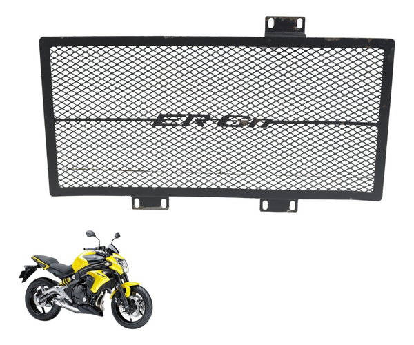 Grade Proteção Radiador C/ Detalhes Kawasaki Er6n 10-12 Orig